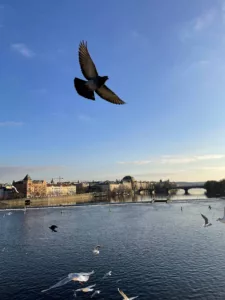 Prága, Cseh Köztársaság fővárosa