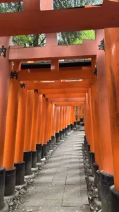 Kyoto, Japán bemutatva: templomok, tea és örök hagyományok