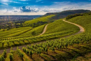 Valdobbiadene’yi Keşfetmek: İtalya’nın Prosecco Cenneti