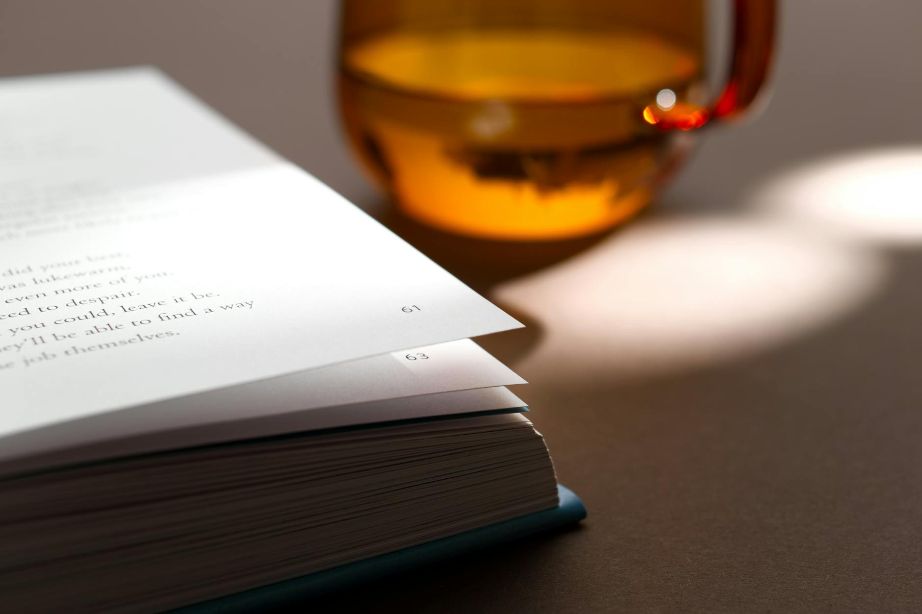 8 Experiences to Book in Cabo for the Ultimate Girls Trip