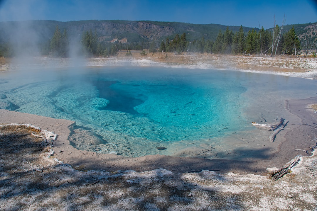 Best U.S. National Parks for Spring 2026: Wildflowers, Fewer Crowds & Ideal Weather