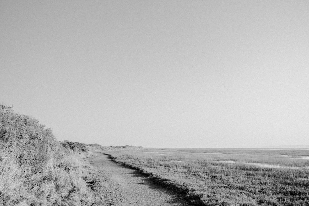 Explora Journeys becomes latest cruise line to be impacted by Middle East war