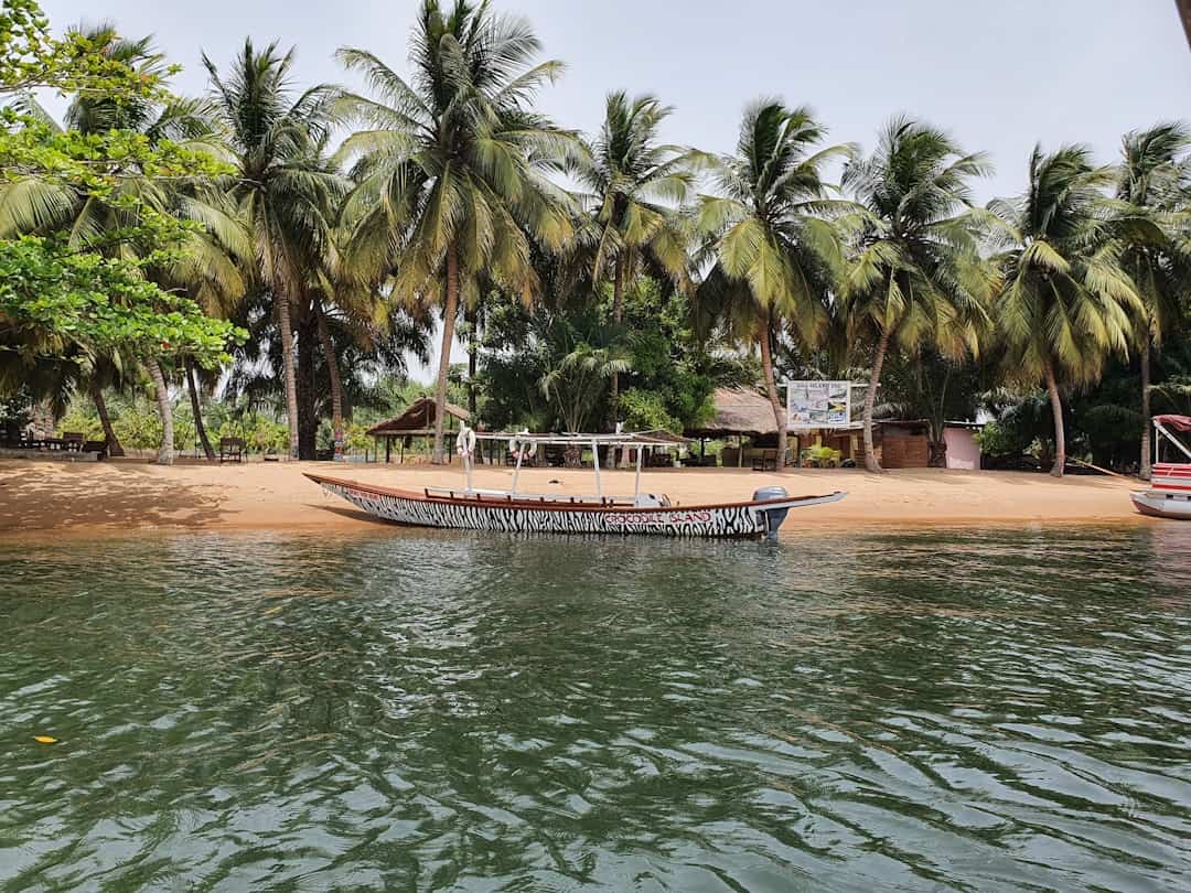 From the Gobi to Ghana: 10 of the best community tourism trips around the world