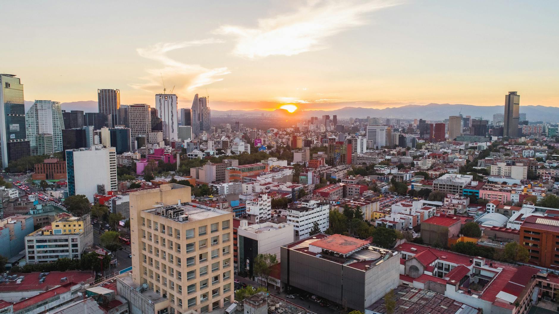 My Favorite Airbnb in Condesa, Mexico City's Trendy, Artsy Neighborhood