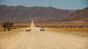 Namibia’da 14 Gün: İlk Keşifçiler İçin Nihai Karayolu Macerası Rotalı Program