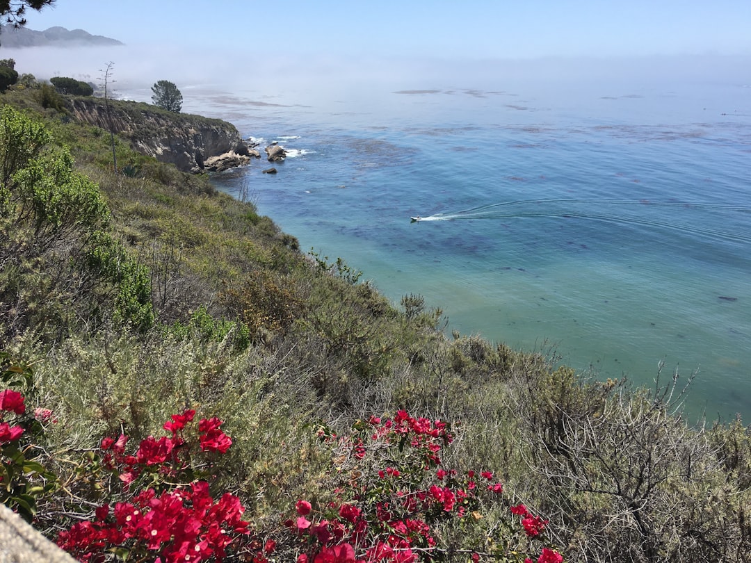 The Life-Affirming Beauty of California's Channel Islands