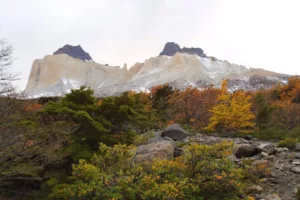 Οδηγός Πρώτης Φοράς για την Παταγονία: Torres del Paine vs. El Chaltén