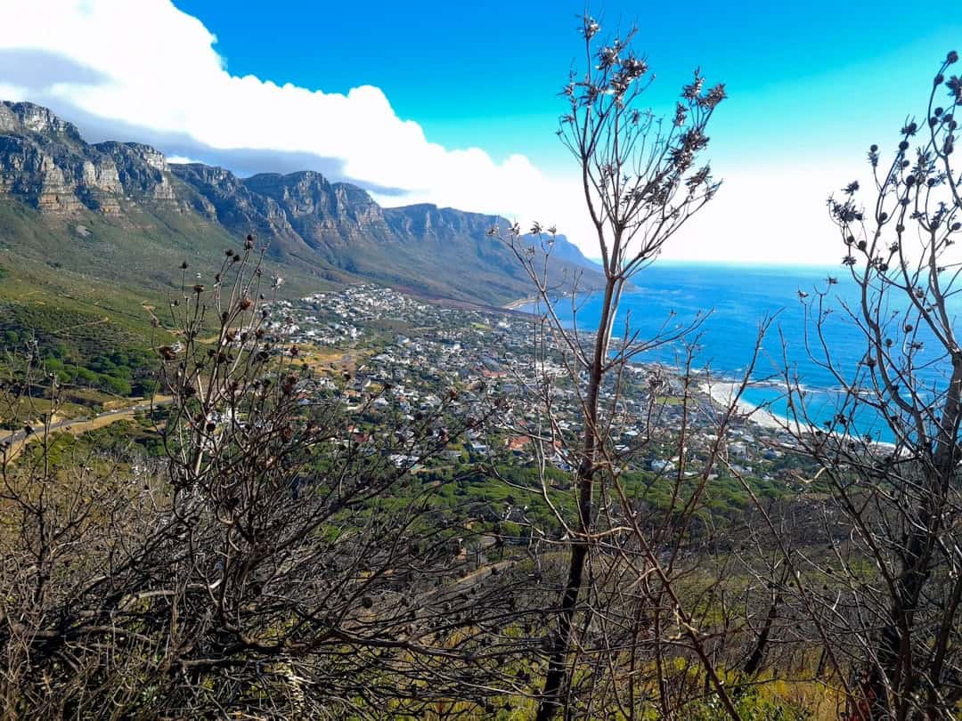 Cape Town in May: Best Scenic Drives, Coastal Hikes & Food Markets