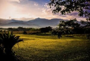 Exploring Colombia’s Coffee Region: Salento, Cocora Valley & Farm Stays
