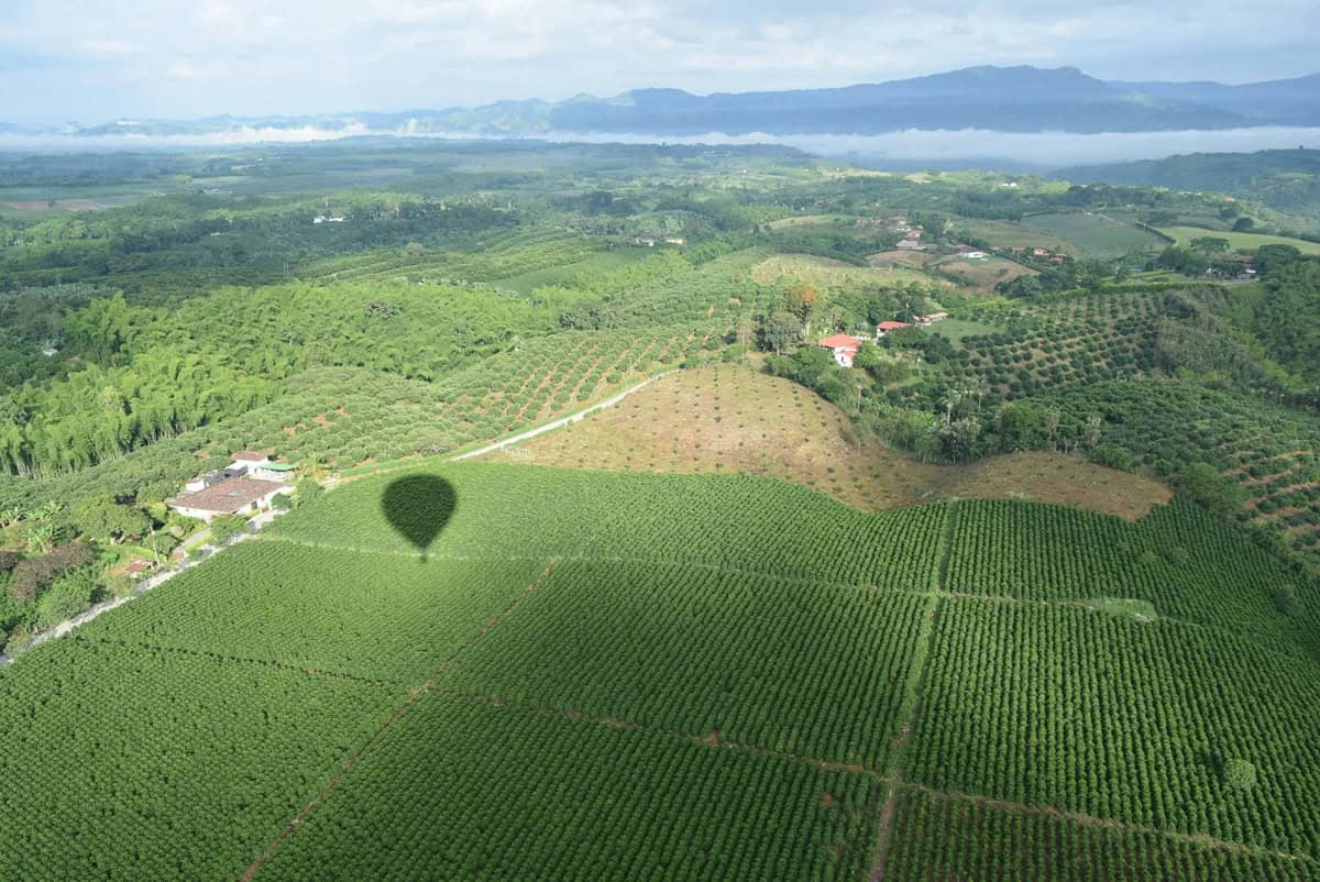 Exploring Colombia’s Coffee Region: Salento, Cocora Valley & Farm Stays