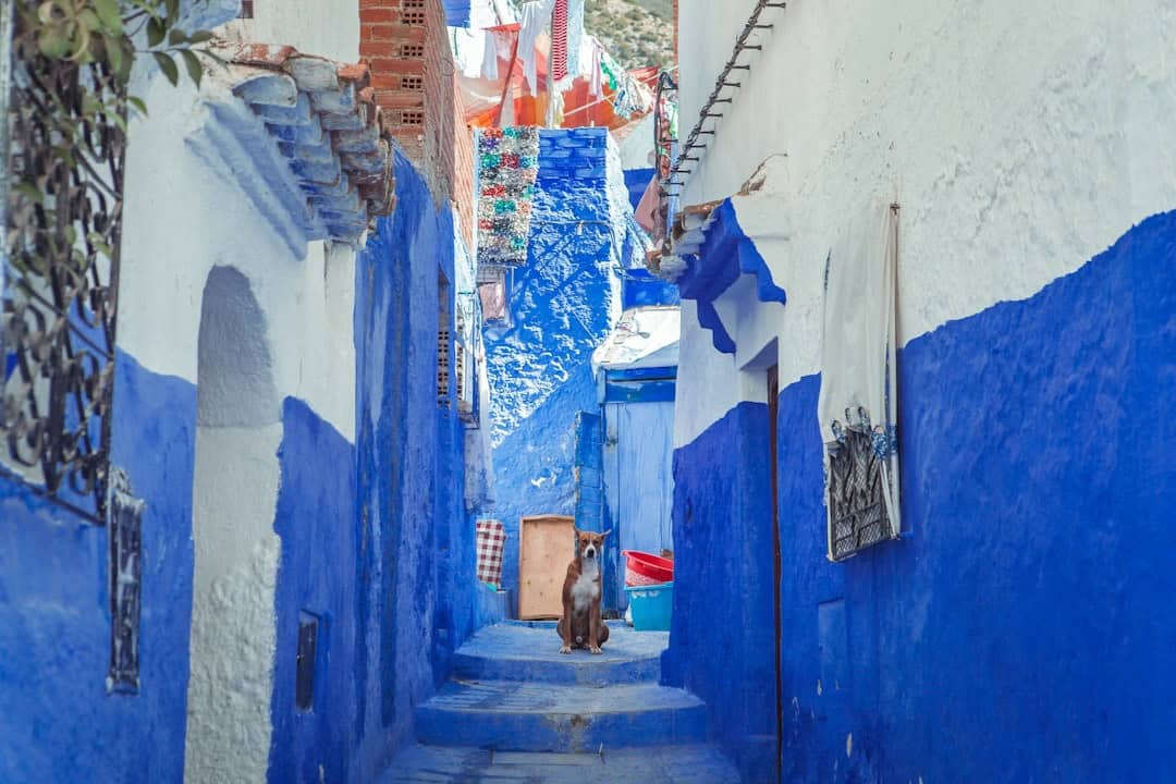 Exploring Morocco’s Blue City: A 3-Day Chefchaouen Itinerary with Budget Tips