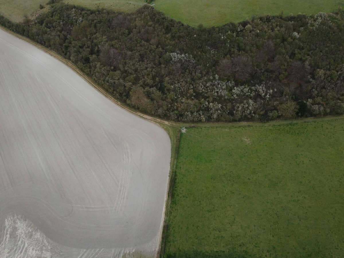 From the white kingdom to the green land of the midnight sun: Finland, Europe's top summer destination