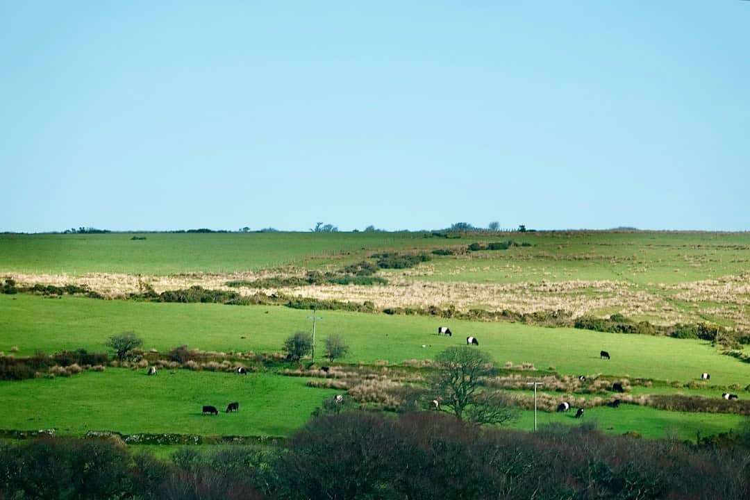 From the white kingdom to the green land of the midnight sun: Finland, Europe's top summer destination