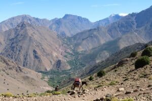 Hiking the Atlas Mountains in Spring: Routes, Costs, and What to Pack