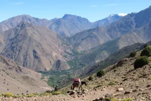 İlkbaharda Atlas Dağları’nda Yürüyüş: Rotalar, Maliyetler ve Yanınıza Ne Almalısınız