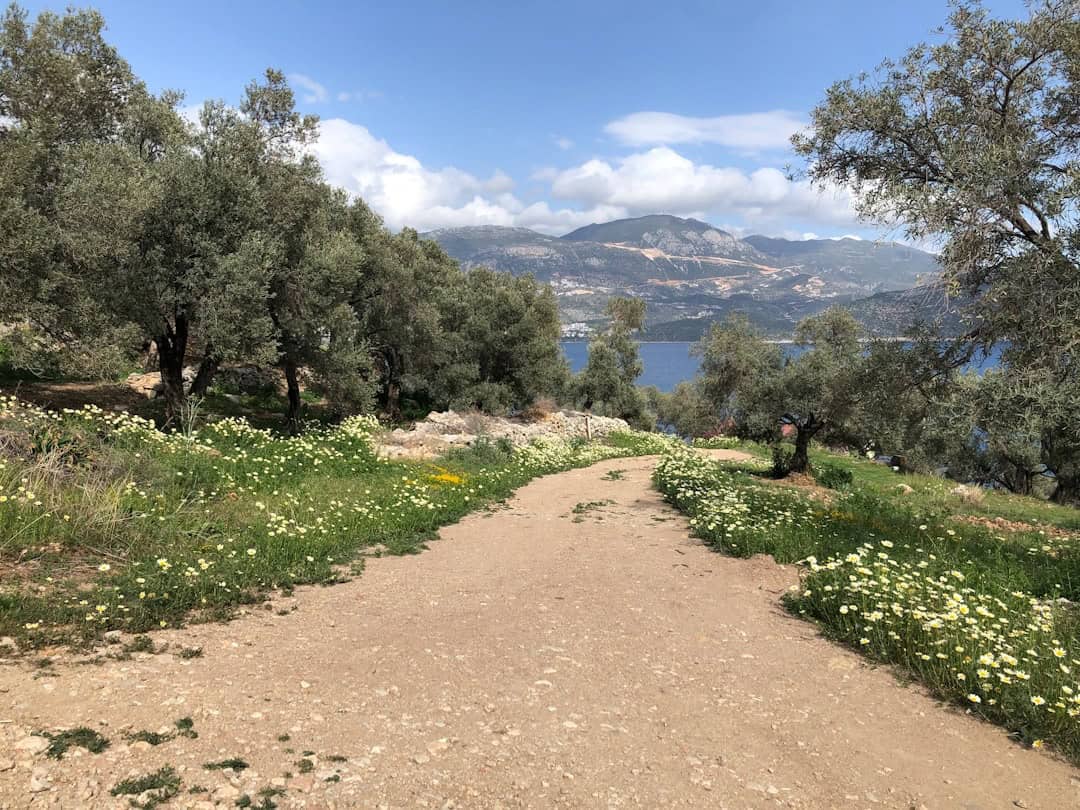 Hiking the Lycian Way in Turkey: A 5-Day Route Plan for Spring 2026