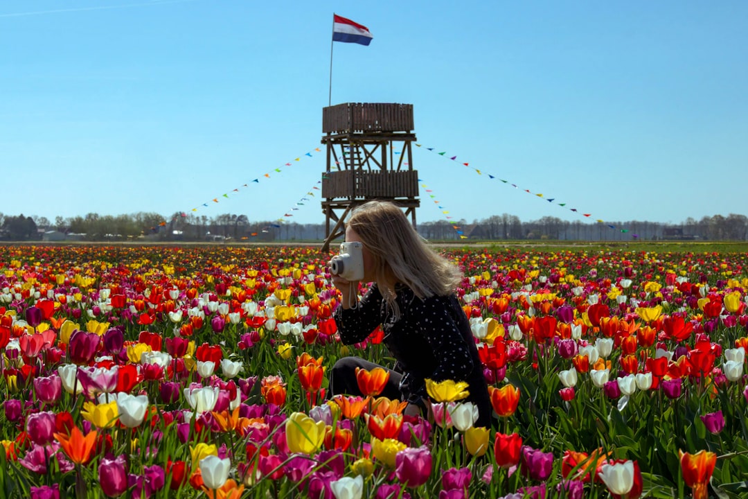 Netherlands Tulip Season 2026: Best Keukenhof Routes, Flower Fields Near Amsterdam & Crowd-Free Viewing Tips