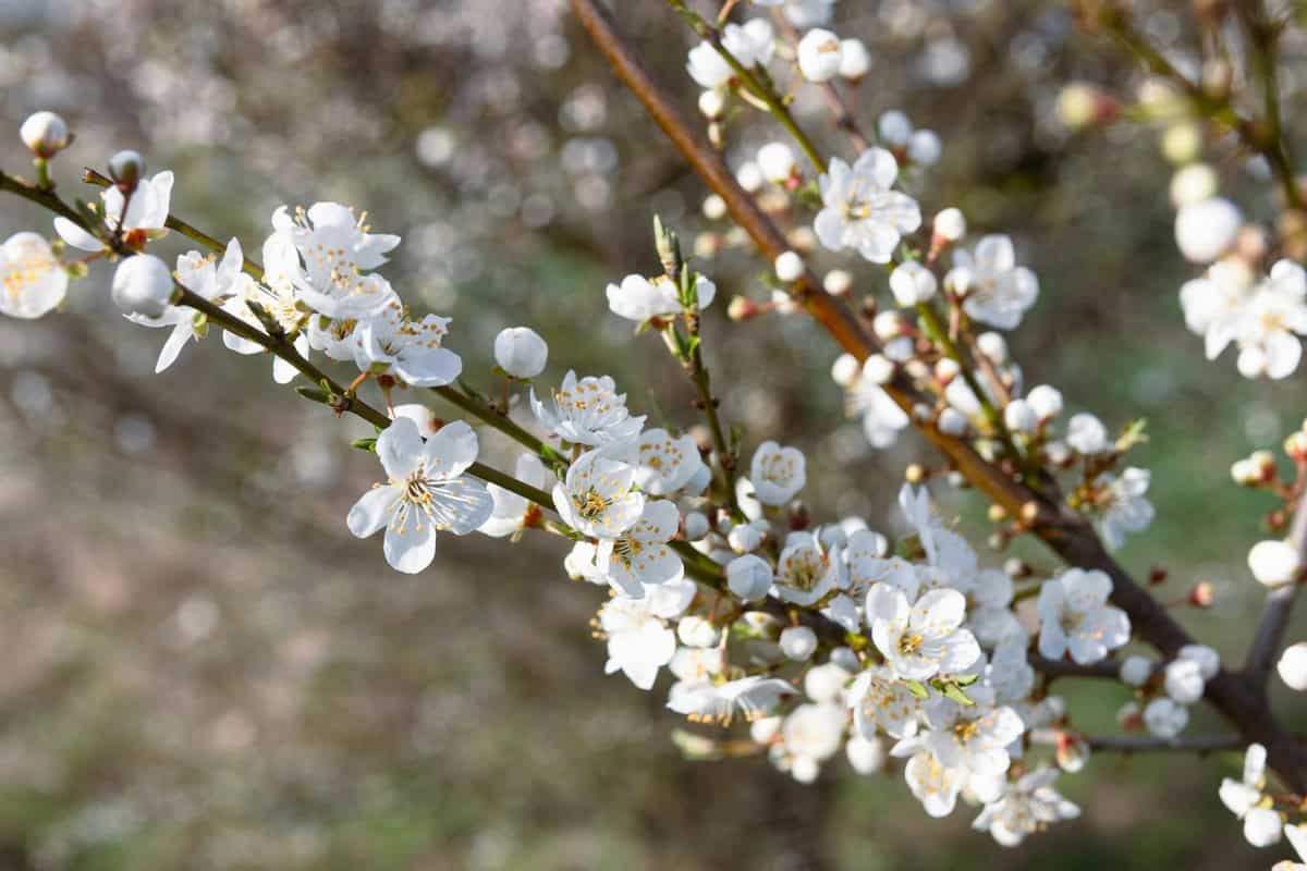 Shoulder Season in Spain: Why April 2026 Is the Best Time to Visit Seville and Granada