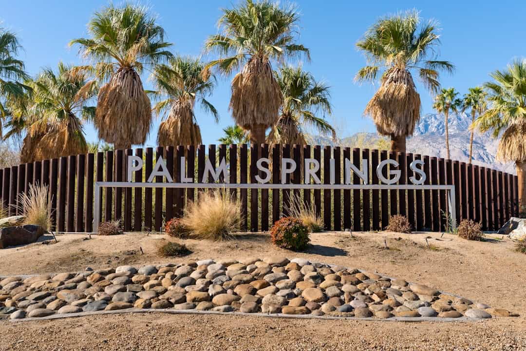 The Best Palm Springs Bachelorette Airbnbs With Saltwater Pools, Saunas, and Mountain Views