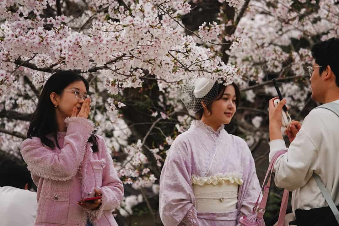 The Ultimate 5-Day Kyoto Cherry Blossom Guide 2026: Best Viewing Spots and Local Food