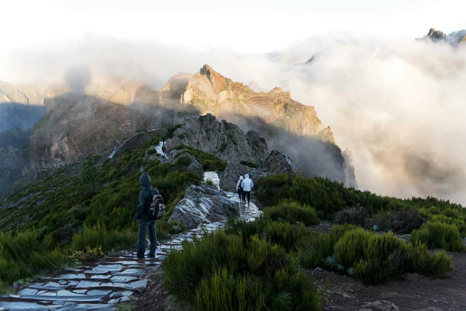 The Ultimate Guide to Hiking Madeira in Spring: 12 Scenic Levada Walks