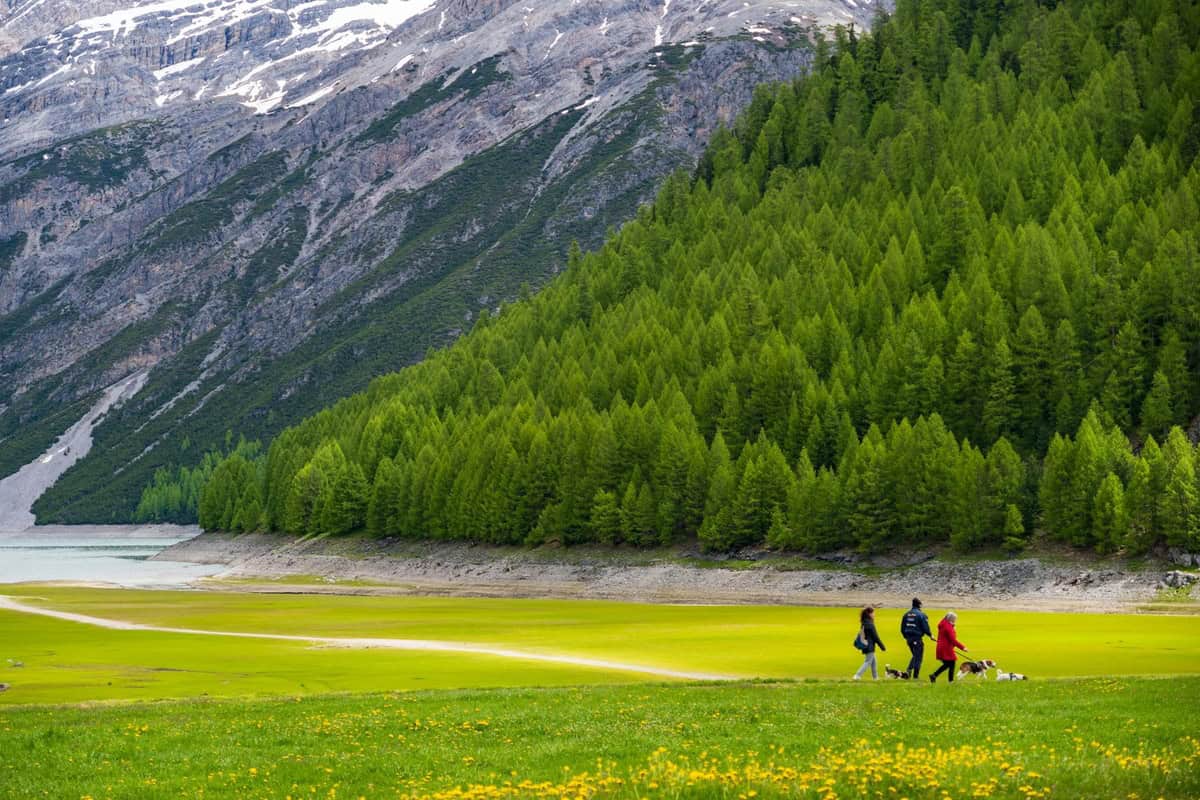 Top 8 Spring Hiking Destinations in Europe for 2026 (Wildflowers, Mild Weather, Epic Views)