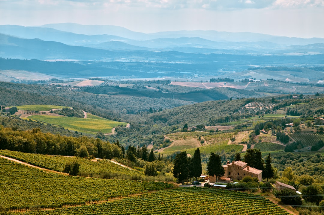 Tuscany Wine Travel Guide 2026: 8 Boutique Vineyards You Can Visit Without a Car