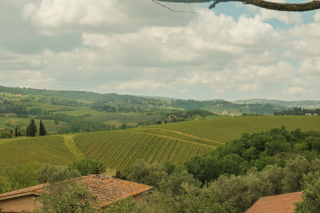 Tuscany Wine Travel Guide 2026: 8 Boutique Vineyards You Can Visit Without a Car