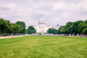 Επίσκεψη στην Ουάσιγκτον, D.C. για το Εθνικό Φεστιβάλ Κερασιάς 2026: Τι να ξέρετε