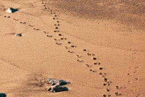 Where to Travel for Summer 2026 in Europe: 9 Affordable Alternatives to Santorini and Ibiza