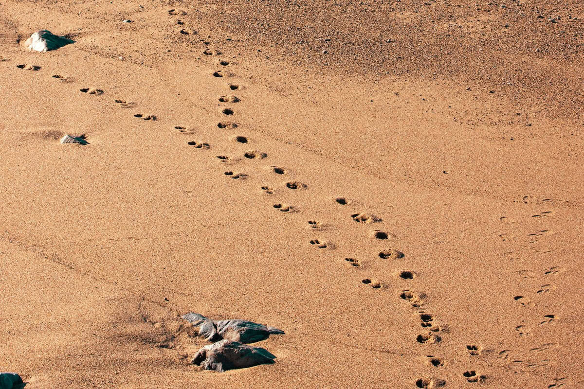 Where to Travel for Summer 2026 in Europe: 9 Affordable Alternatives to Santorini and Ibiza