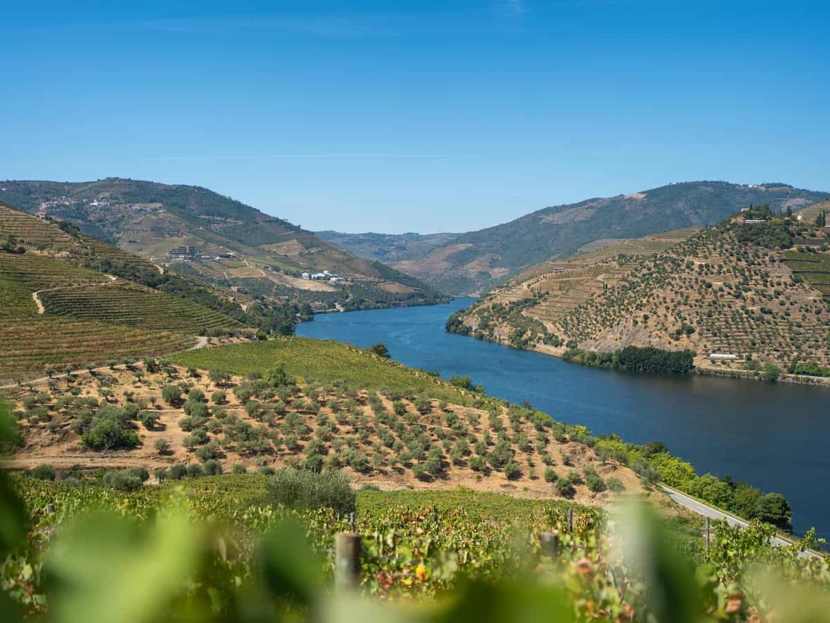 Wine Tasting in Portugal’s Douro Valley: Best Quintas to Visit in Spring