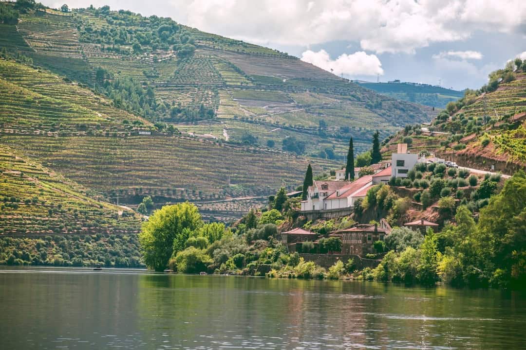 Wine Tasting in Portugal’s Douro Valley: Best Quintas to Visit in Spring