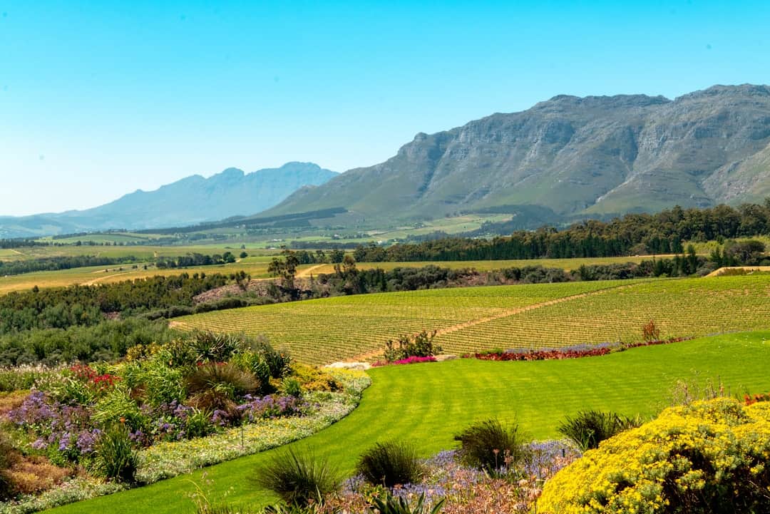 Wine Tasting in South Africa’s Stellenbosch: 7 Boutique Wineries to Visit in Autumn