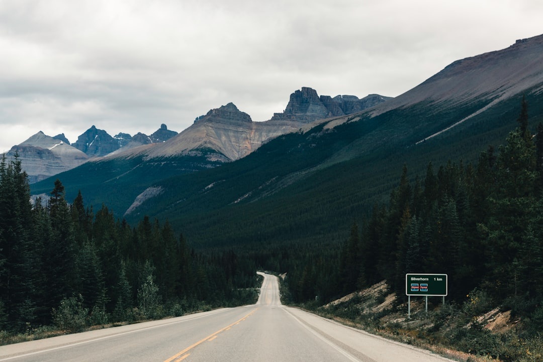 12 Epic Road Trip Stops Along California’s Pacific Coast Highway in 2026
