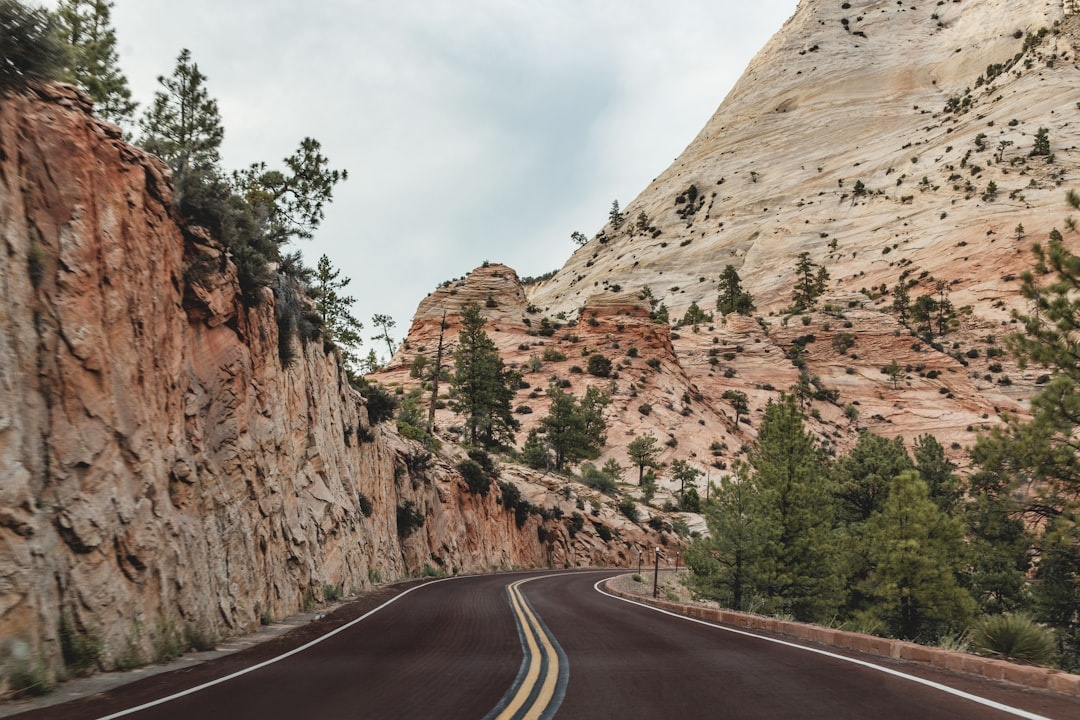 12 Epic Road Trip Stops Along California’s Pacific Coast Highway in 2026