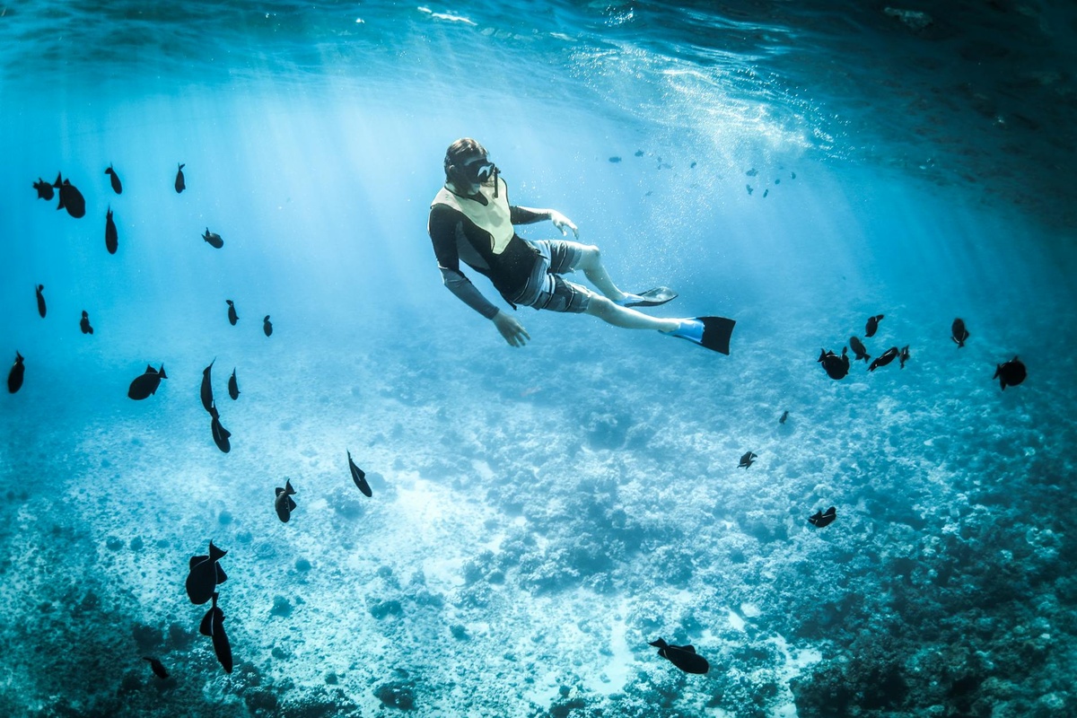 20 Best Snorkeling Destinations in the World for Beginners and Pros Alike