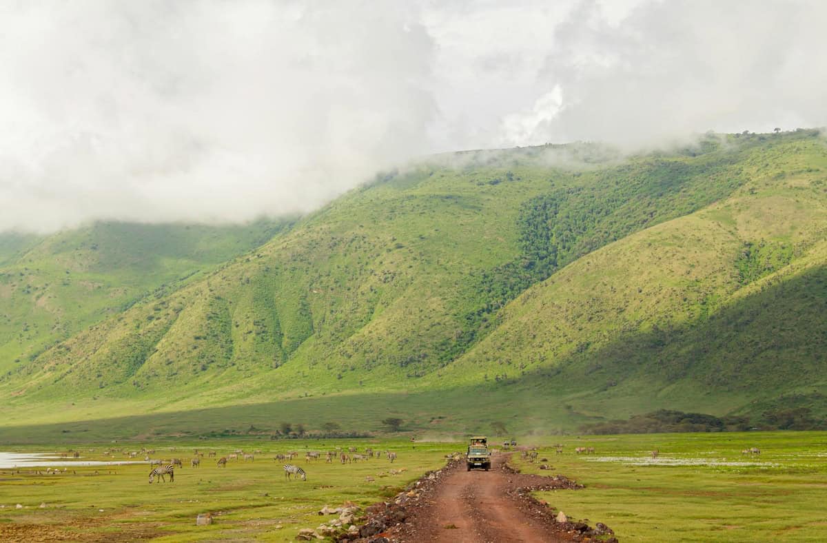 5 Affordable Safari Destinations in Africa for 2026 (Kenya, Tanzania, Namibia & More)