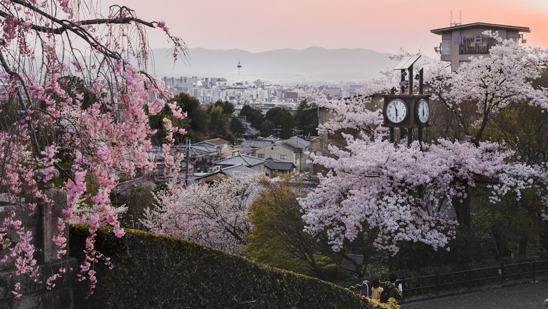 A First-Timer’s Guide to Kyoto in Late Spring: Hidden Temples, Bamboo Forests & Local Eats