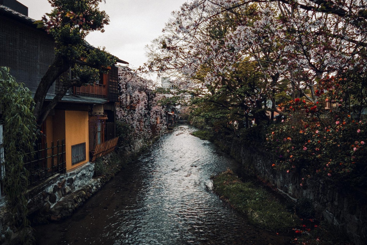 A First-Timer’s Guide to Kyoto in Late Spring: Hidden Temples, Bamboo Forests & Local Eats