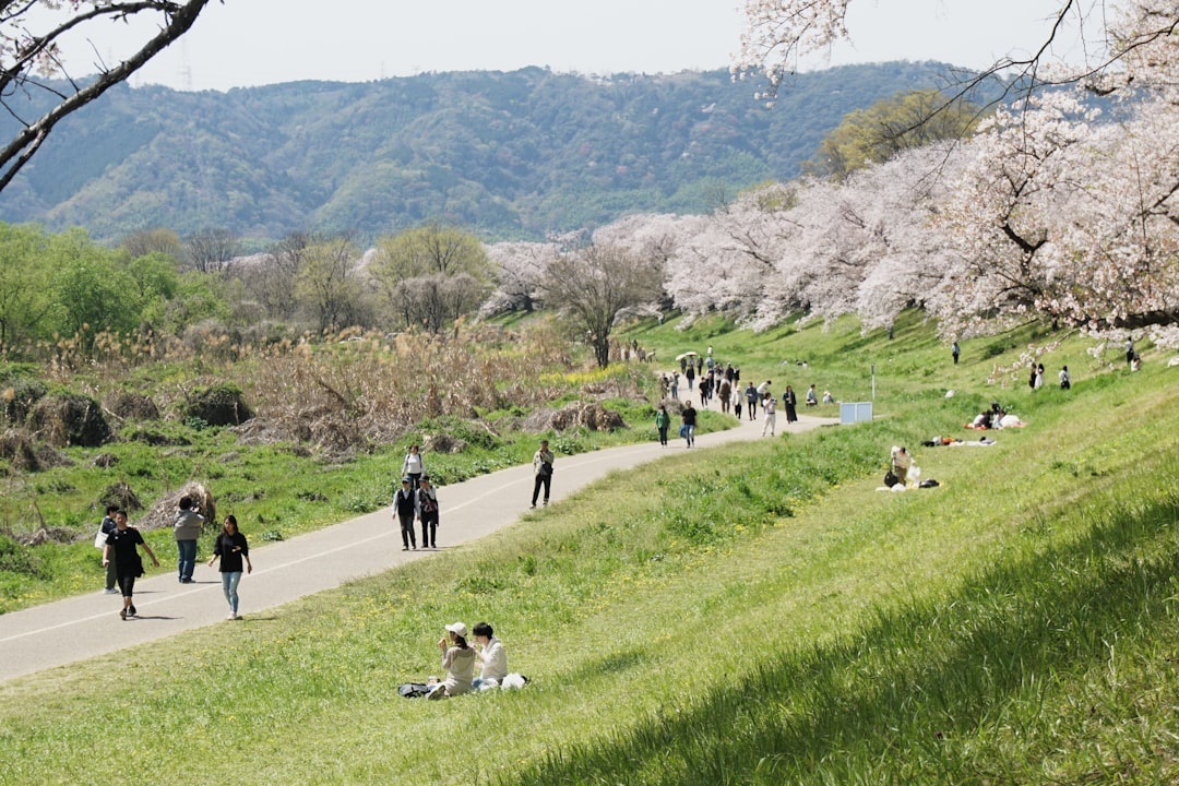 A First-Timer’s Guide to Kyoto in Late Spring: Hidden Temples, Bamboo Forests & Local Eats