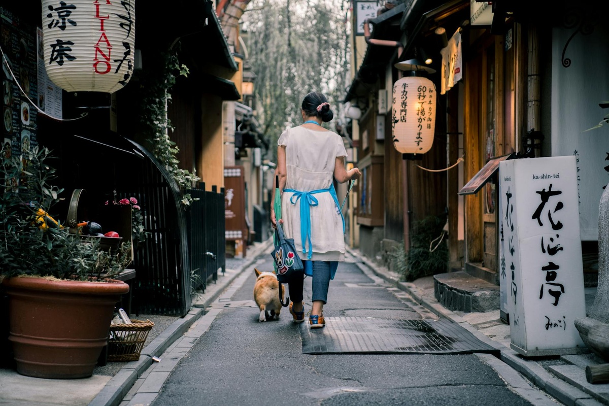 A First-Timer’s Guide to Kyoto in Summer 2026: Festivals, Food, and Hidden Temples