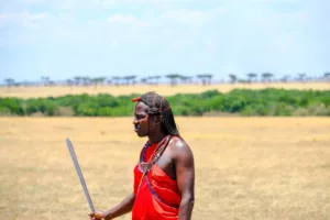 A kezdők útmutatója Kenya szafarijához: Maasai Mara költségek, táborok és migrációs szezon tippek