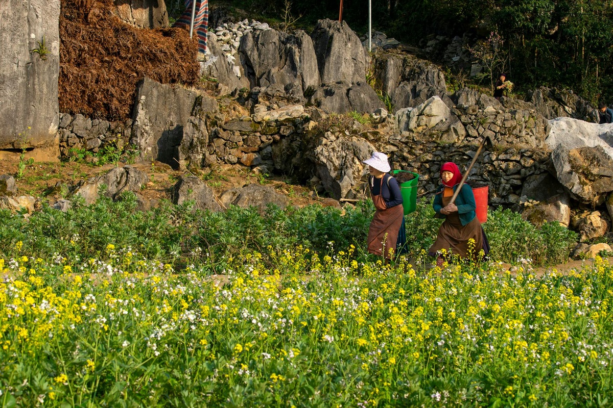 A First-Timer’s Guide to Vietnam’s Ha Giang Loop: маршрути, costs, and safety tips for 2026