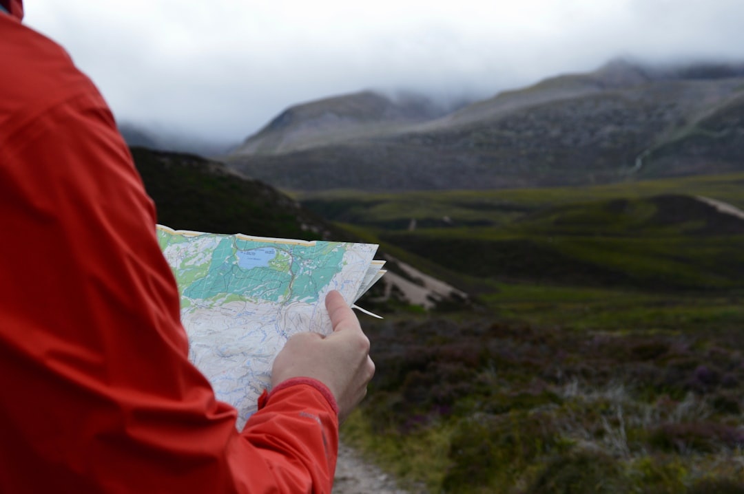 Best Offline Navigation Apps for Hiking and Road Trips in 2026 (No Signal Required)