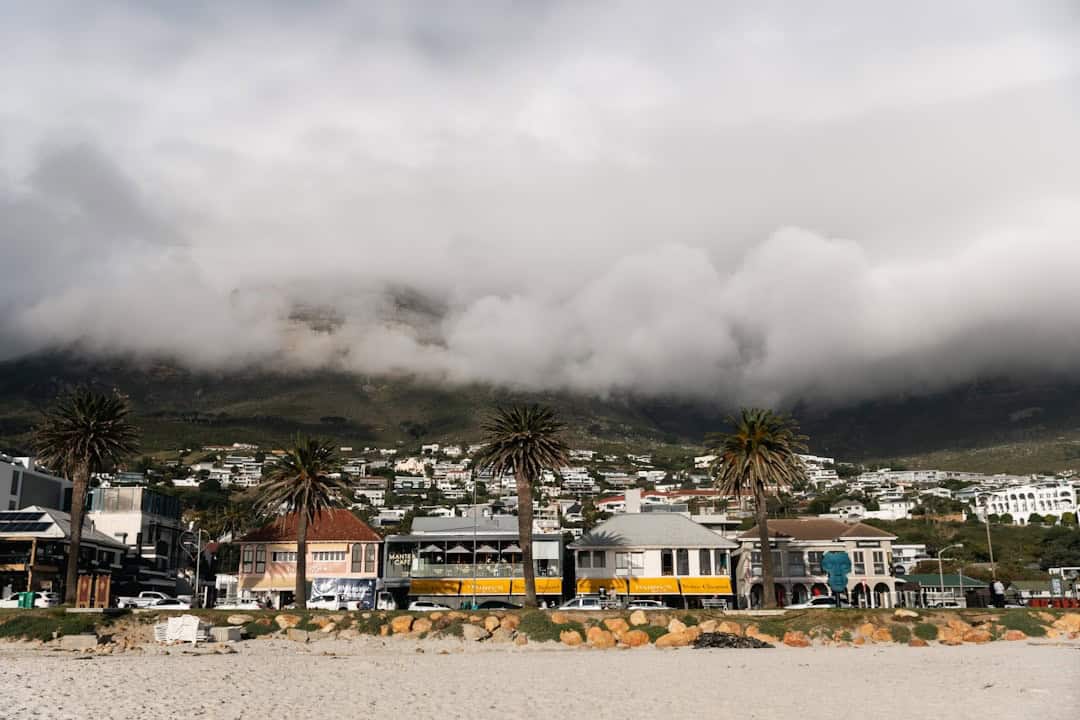 Cape Town in Winter (June–August): Whale Watching, Wine, and Fewer Crowds
