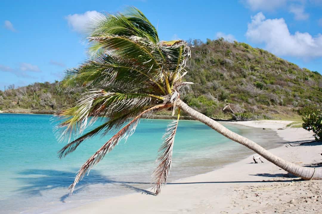 Hurricane Season Travel in the Caribbean 2026: Safe Islands, Deals & Smart Planning Tips