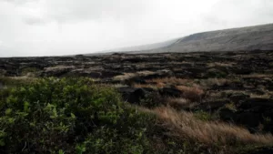 Αρκεί η νέα «Πράσινη χρέωση» του Hawaiʻi για να μειώσει τις εντάσεις ανάμεσα σε τουρίστες, ντόπιους και το περιβάλλον;