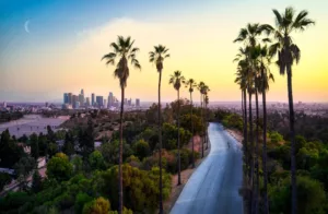Los Angeles: A Travel Guide to the 2026 World Cup Host City