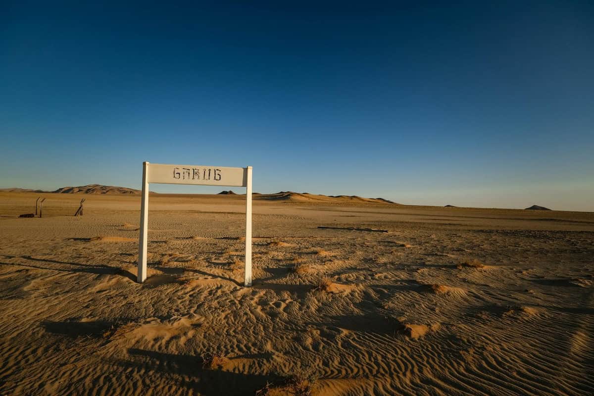 Namibia’s Skeleton Coast Road Trip: What to See, Where to Stay & How to Prepare